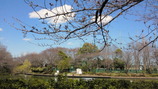 NEC_0194