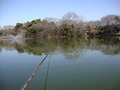 DSC01396