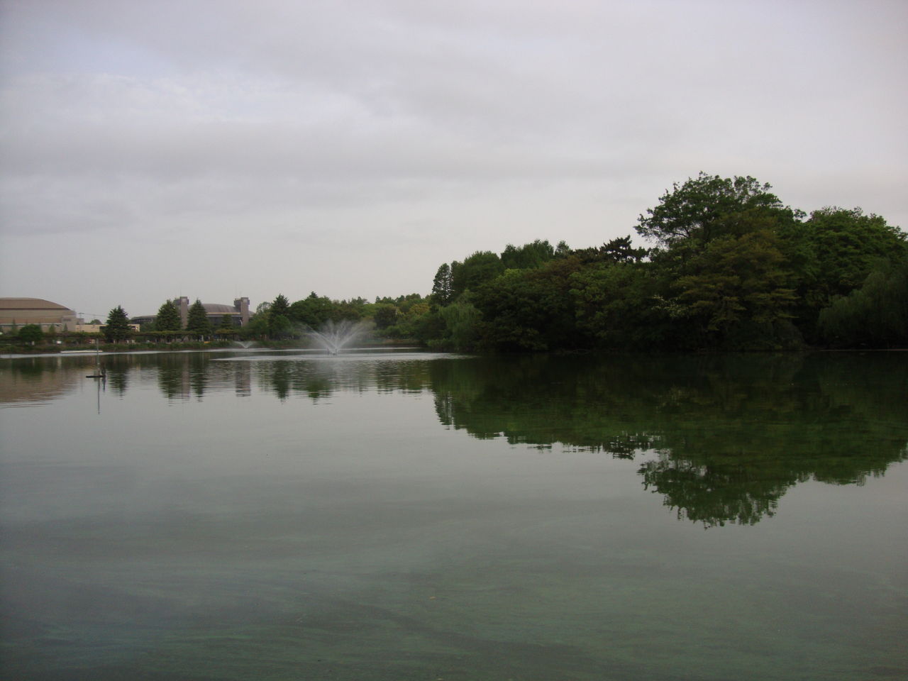 DSC01310