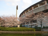 29e2f57f.jpg