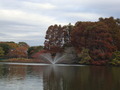 DSC01444