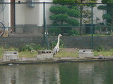 3fe849f2.jpg