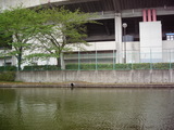 4232c1e8.jpg