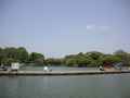 DSC01309
