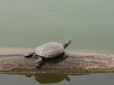 6f83a078.jpg