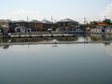 7970195f.jpg