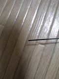 NEC_0133