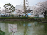 851f8888.jpg