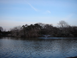 91c38370.jpg