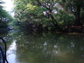 DSC01422