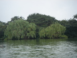 a11c42f8.jpg