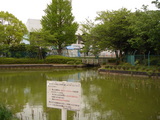 a13365c6.jpg