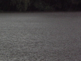 a819d1bb.jpg