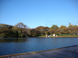 afa988fc.jpg