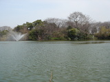 b674c6f0.jpg