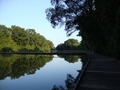 DSC01339