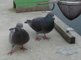 c9974b04.jpg