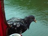 e2a058f0.jpg