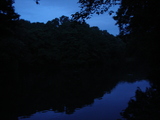 e45f2f92.jpg