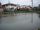 e49882ca.jpg