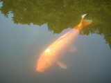 f4d19919.jpg