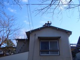 2012_0102_234444-CIMG0712