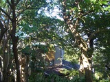 2011_0711_071605-CIMG0251