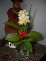 2012_0104_021119-CIMG0736