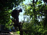 2011_0710_093555-CIMG0243