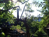 2011_0711_071521-CIMG0245