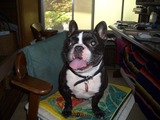 2011_0914_134248-CIMG0385