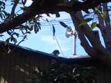2012_0102_234401-CIMG0711