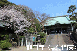 shichi_5