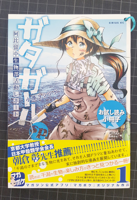 tameshiyomi