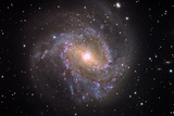 M83