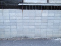 IMG_1471