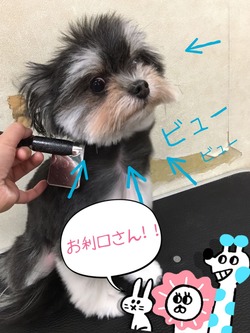 ¼Ì¿¿£µ