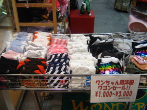�若�� �ǥ�