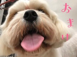 ¼Ì¿¿£·
