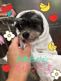 ¼Ì¿¿£´