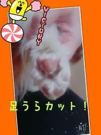 ±óÆ£¥³¥³¢