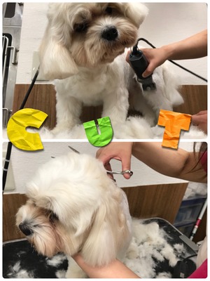 ¼Ì¿¿£µ
