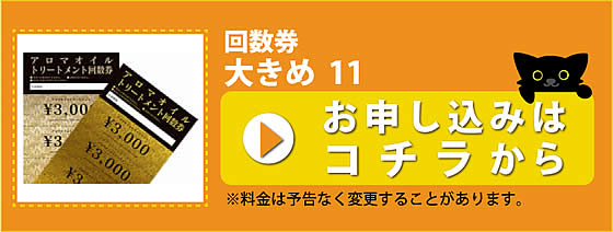 回数券大きめ11_申し込み