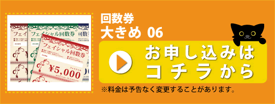 大きめ回数券 06_申込