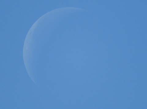 a0960_008746