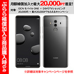 2010024509_k (1)