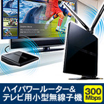 LAN-WH300NDRCY