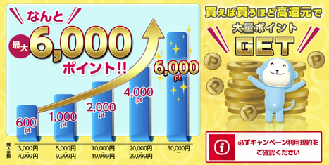 ひかりんこぶっく