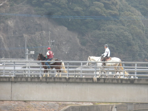 DSCN6025