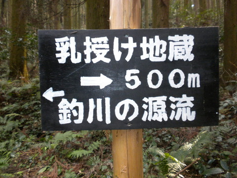 DSCN6032